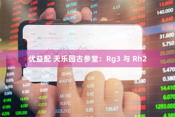 优益配 天乐园古参堂：Rg3 与 Rh2