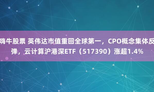 嗨牛股票 英伟达市值重回全球第一，CPO概念集体反弹，云计算沪港深ETF（517390）涨超1.4%