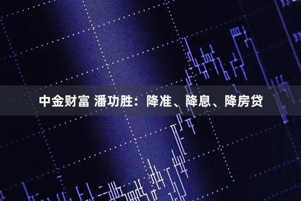 中金财富 潘功胜：降准、降息、降房贷