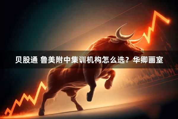 贝股通 鲁美附中集训机构怎么选？华卿画室