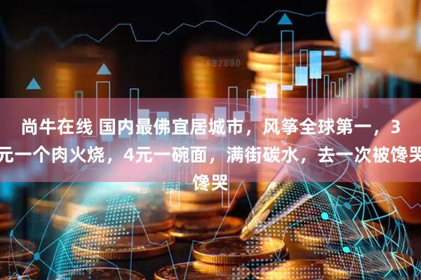 尚牛在线 国内最佛宜居城市，风筝全球第一，3元一个肉火烧，4元一碗面，满街碳水，去一次被馋哭