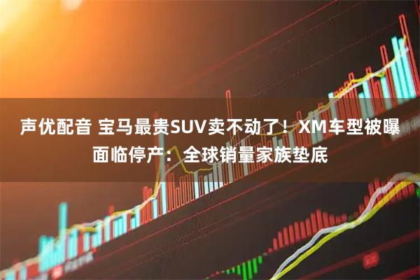 声优配音 宝马最贵SUV卖不动了!XM车型被曝面临停产:全球销量家族垫底